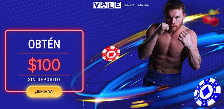 Casino Vale İncelemesi: Nerede Oynayabilirsiniz?